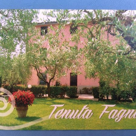 Tenuta Fagnani Lucca Quarto foto