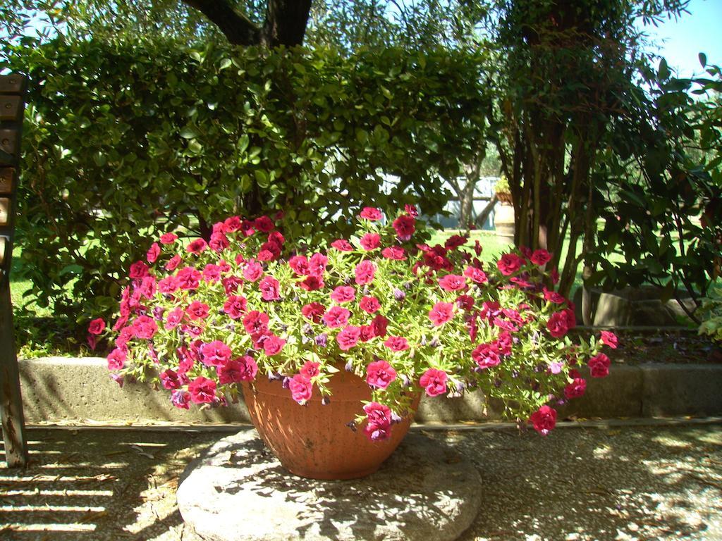 Tenuta Fagnani Lucca Quarto foto