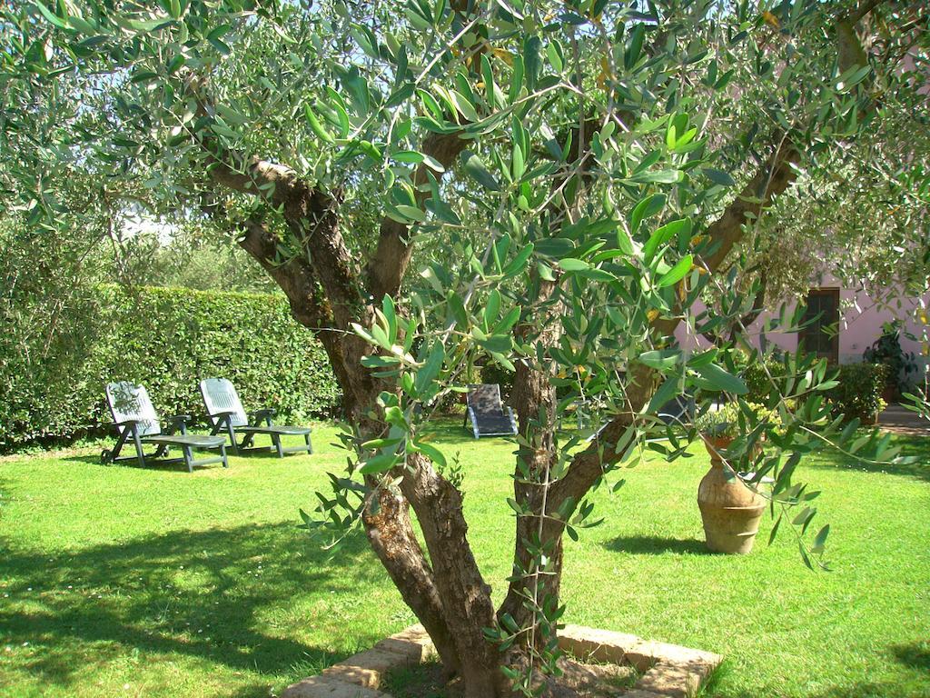 Tenuta Fagnani Lucca Quarto foto
